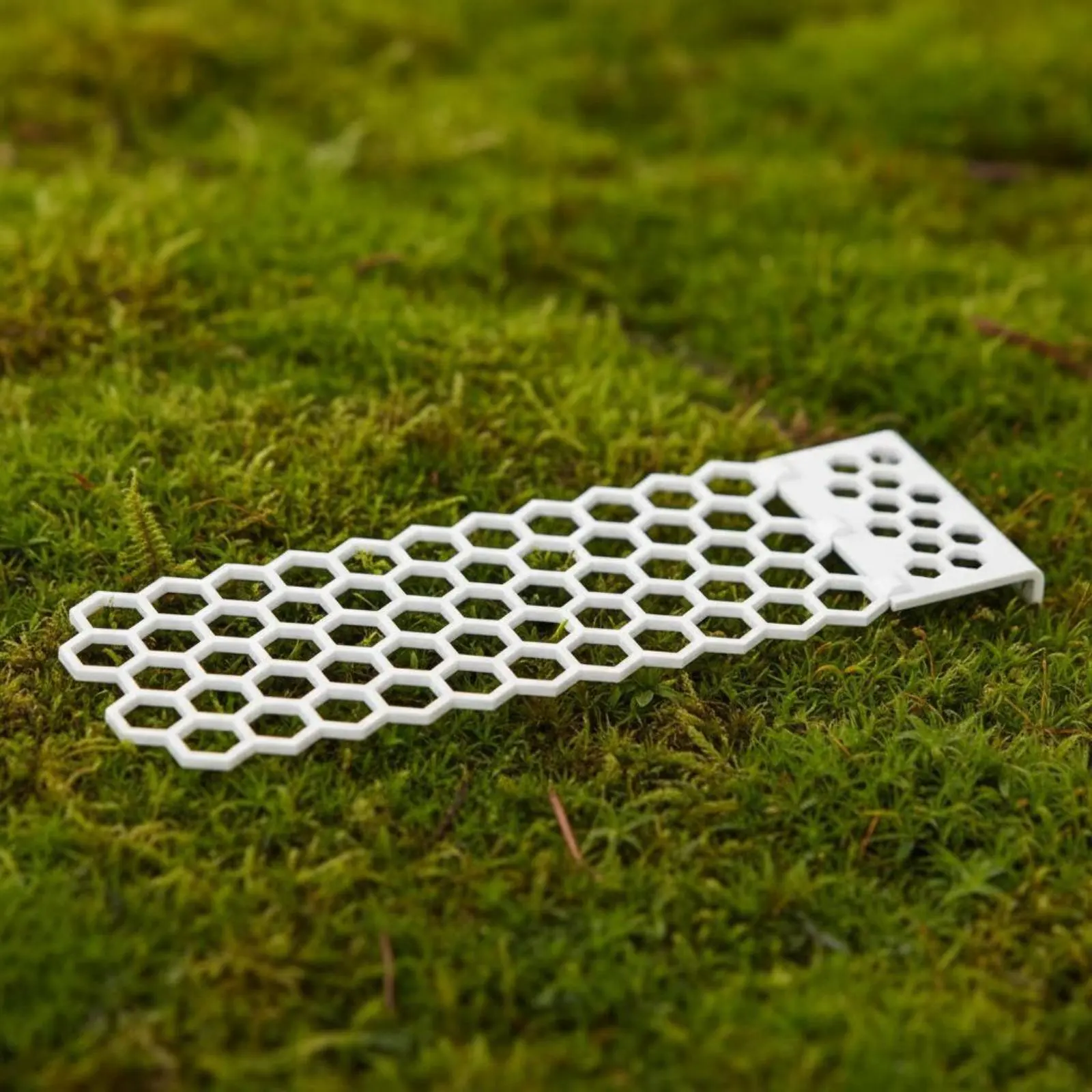Buoyant Bee Ladder Safe Landing Surface Bee Watering Station Drinking Buoyant Lightweight Beekeeping Supply Environmentally
Buoyant Bee Ladder Safe Landing Surface Bee Watering Station Drinking Buoyant Lightweight Beekeeping Supply Environmentally