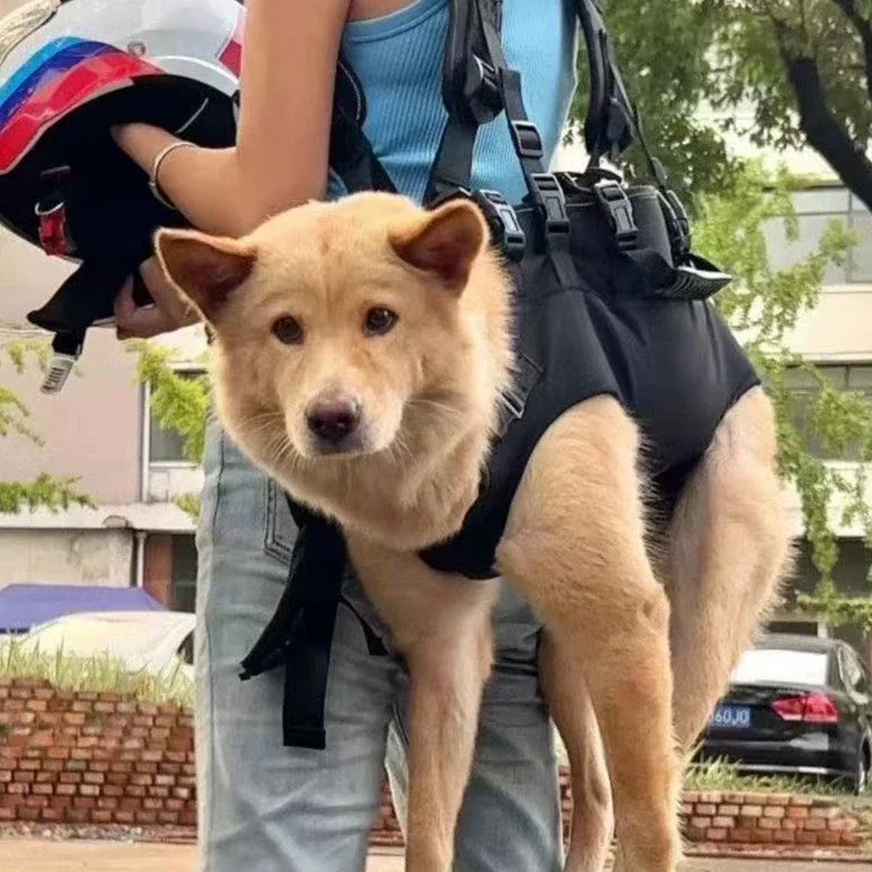 Pet Dog and Cat Carrier Bag Outdoor Hiking Bicycle Bicycle Dog Traveling Bag Backpack for Small Dogs, Medium Dogs and Cats
Pet Dog and Cat Carrier Bag Outdoor Hiking Bicycle Bicycle Dog Traveling Bag Backpack for Small Dogs, Medium Dogs and Cats