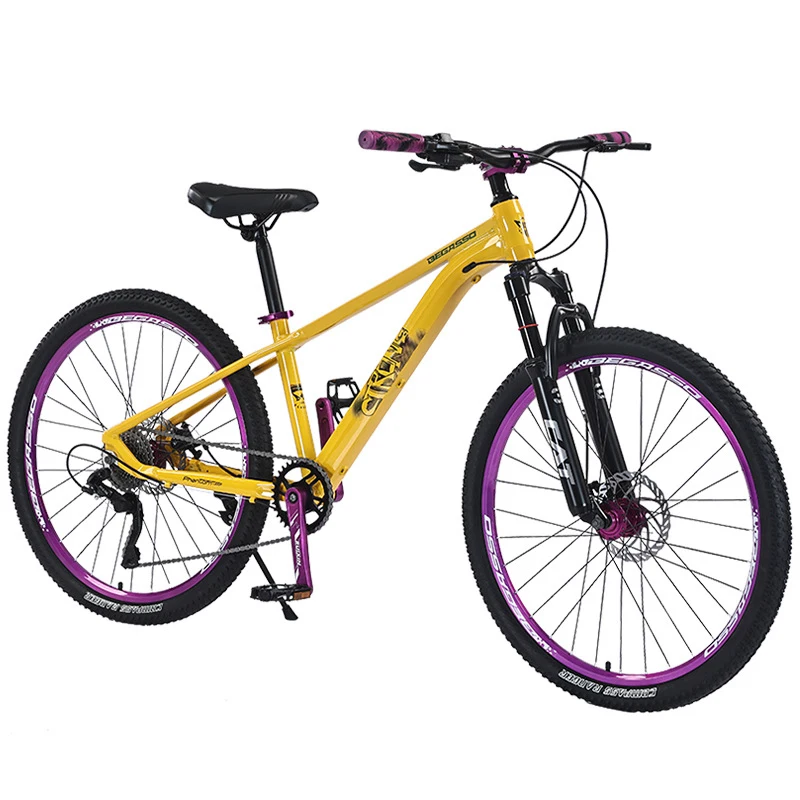 Adult & Youth Men Women Students 21-Speed Mountain Bike Aluminum Alloy Super Lightweight Shock Absorbing for Outdoor Sports
Adult & Youth Men Women Students 21-Speed Mountain Bike Aluminum Alloy Super Lightweight Shock Absorbing for Outdoor Sports