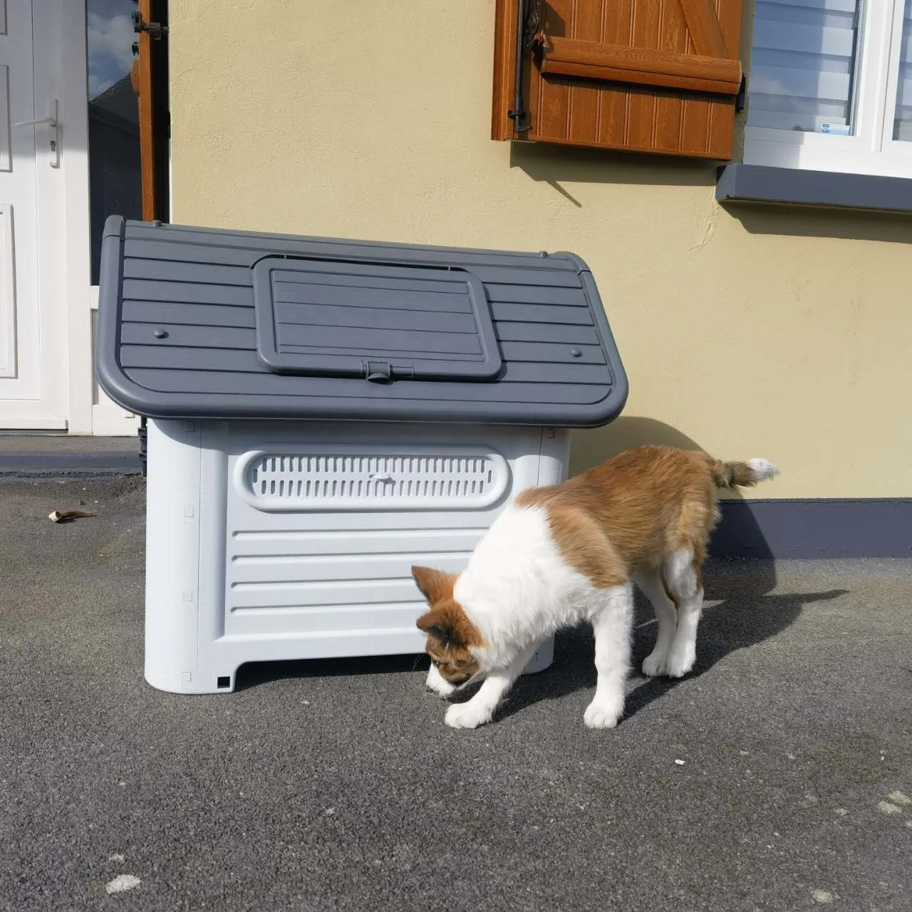 Kennel Golden Retriever House Disassembled and Washed Pet Villa Plastic Dog Cage Indoor Dog Cage Large Dog House Outdoor
Kennel Golden Retriever House Disassembled and Washed Pet Villa Plastic Dog Cage Indoor Dog Cage Large Dog House Outdoor