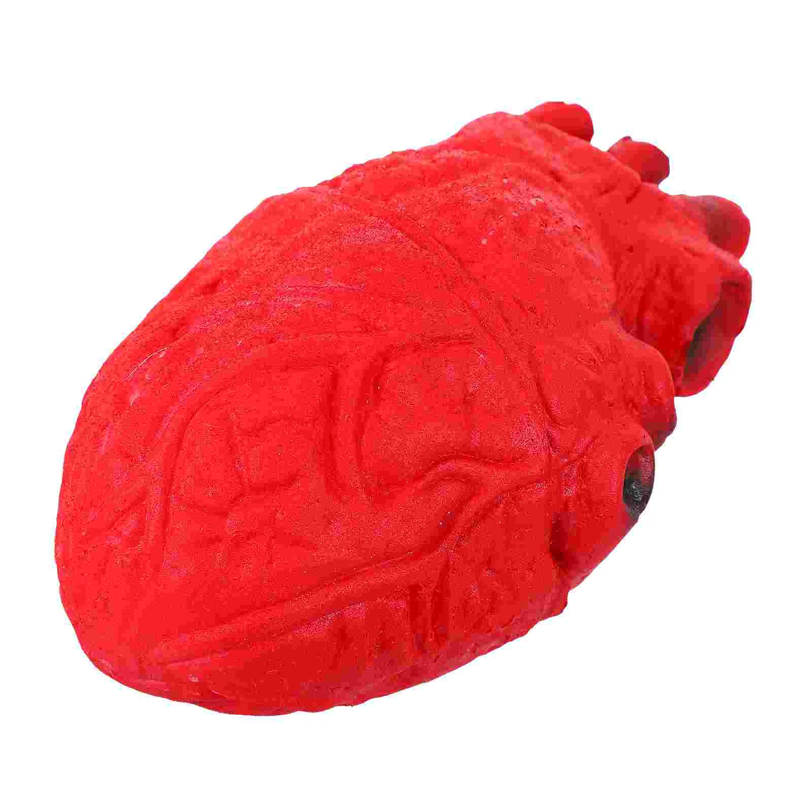 Halloween Heart Creepy Party Adornment Artificial Human Organs Decor Bloody Decorative Props Horror
Halloween Heart Creepy Party Adornment Artificial Human Organs Decor Bloody Decorative Props Horror