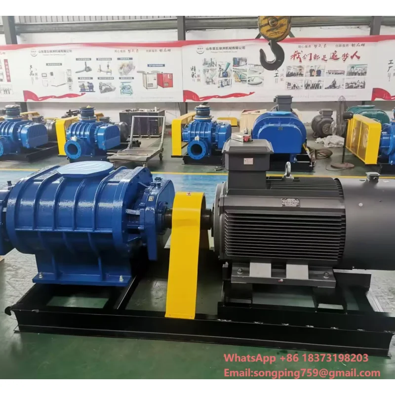 New Three Leaf Roots Blower With 20 Years of History, Devoted to High Pressure Roots Blower, Sewage Treatment, Oxygenation
New Three Leaf Roots Blower With 20 Years of History, Devoted to High Pressure Roots Blower, Sewage Treatment, Oxygenation