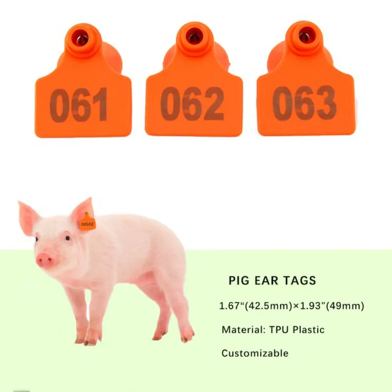 50Pcs of Copper-headed EarTags for Pig,Sheep, Cow Animal Ear Identification,TPU Material Registration Cards with Laser Encoding
50Pcs of Copper-headed EarTags for Pig,Sheep, Cow Animal Ear Identification,TPU Material Registration Cards with Laser Encoding