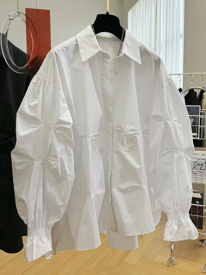 Spring And Autumn New Design Loose Long Sleeved Shirt For Women 2025 New Casual Fashion Top
Spring And Autumn New Design Loose Long Sleeved Shirt For Women 2025 New Casual Fashion Top