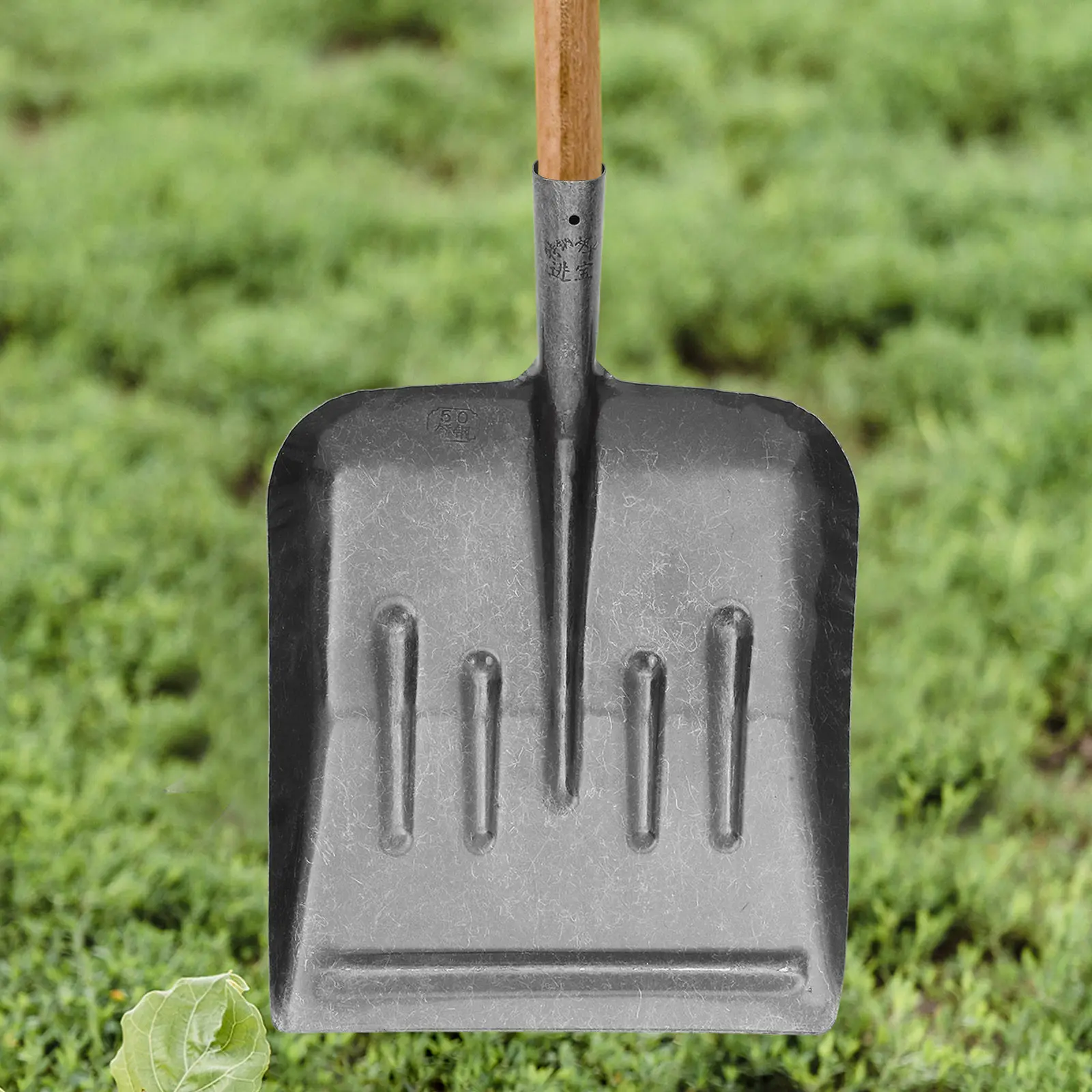 Manganese Steel Cleaning Shovel Ergonomic Grip Multi-Purpose Tools for Manure Snow Digging Chicken Coop Garden
Manganese Steel Cleaning Shovel Ergonomic Grip Multi-Purpose Tools for Manure Snow Digging Chicken Coop Garden