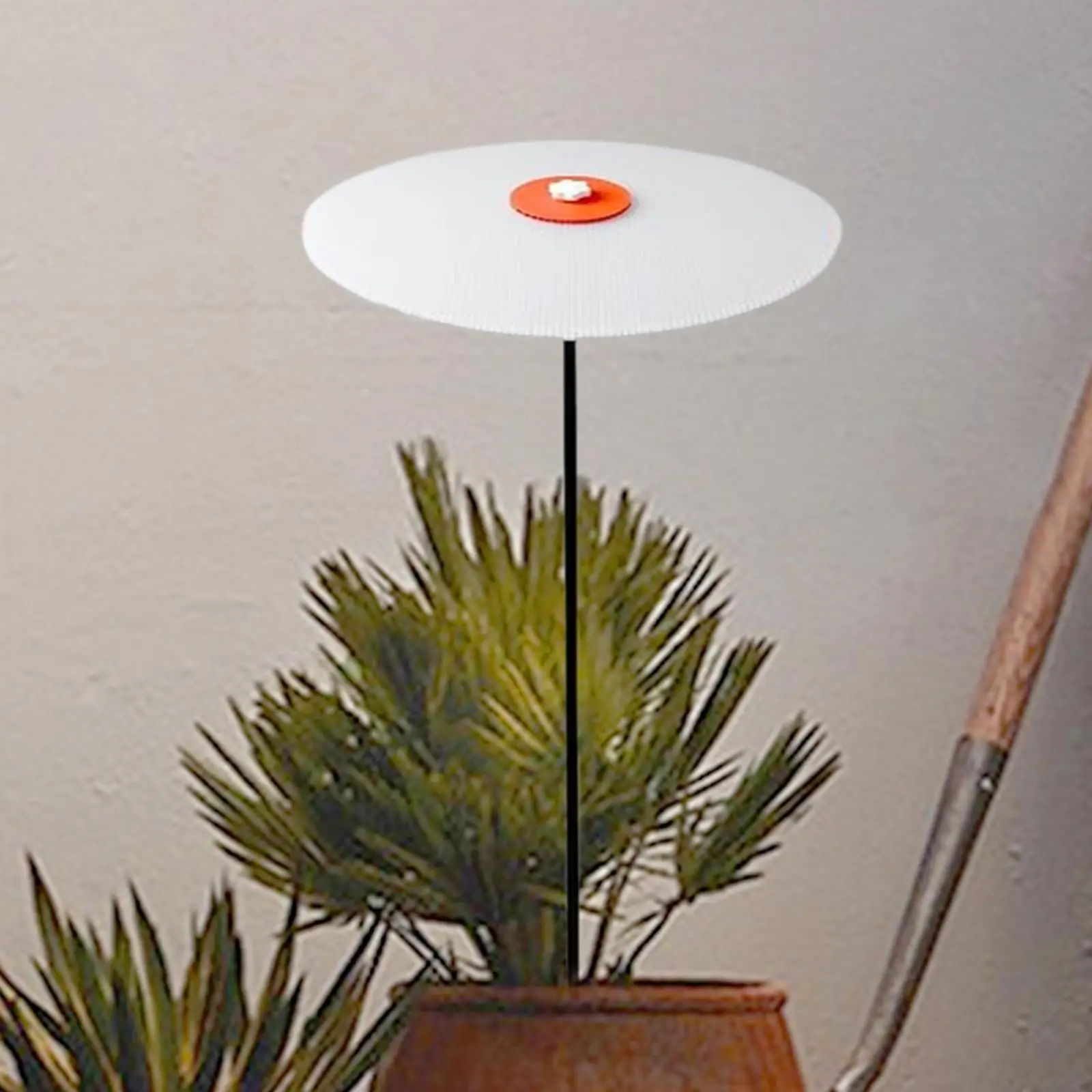 Растения, тент, зонтик, садовый декор, тент, диск, многофункциональная солнцезащитная ткань
Растения, тент, зонтик, садовый декор, тент, диск, многофункциональная солнцезащитная ткань