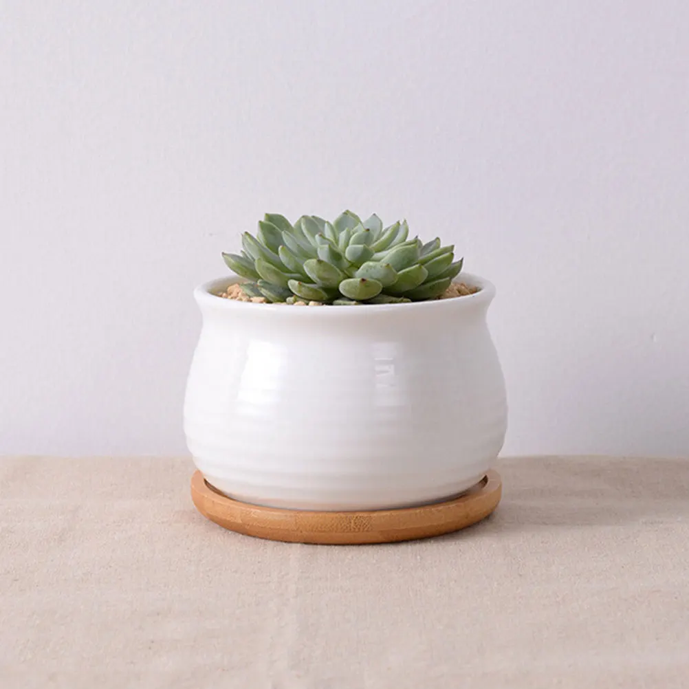 8Pcs Anti-Leak Bamboo Trays Round Flower Pot Saucers Indoor Outdoor Plant Drainage Multi-Purpose
8Pcs Anti-Leak Bamboo Trays Round Flower Pot Saucers Indoor Outdoor Plant Drainage Multi-Purpose