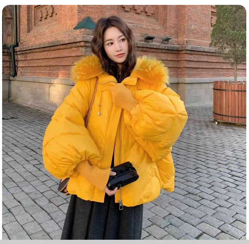 Winter New Arrival Thicker Mink Fur Collar Down Jacket Fashion Loose Short Jacket
Winter New Arrival Thicker Mink Fur Collar Down Jacket Fashion Loose Short Jacket