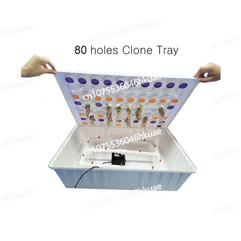 Home Garden Hydroponic Seedling Tray ABS Nursery Pot Aeroponic Planting Tray With Water Sprinkler System
Home Garden Hydroponic Seedling Tray ABS Nursery Pot Aeroponic Planting Tray With Water Sprinkler System