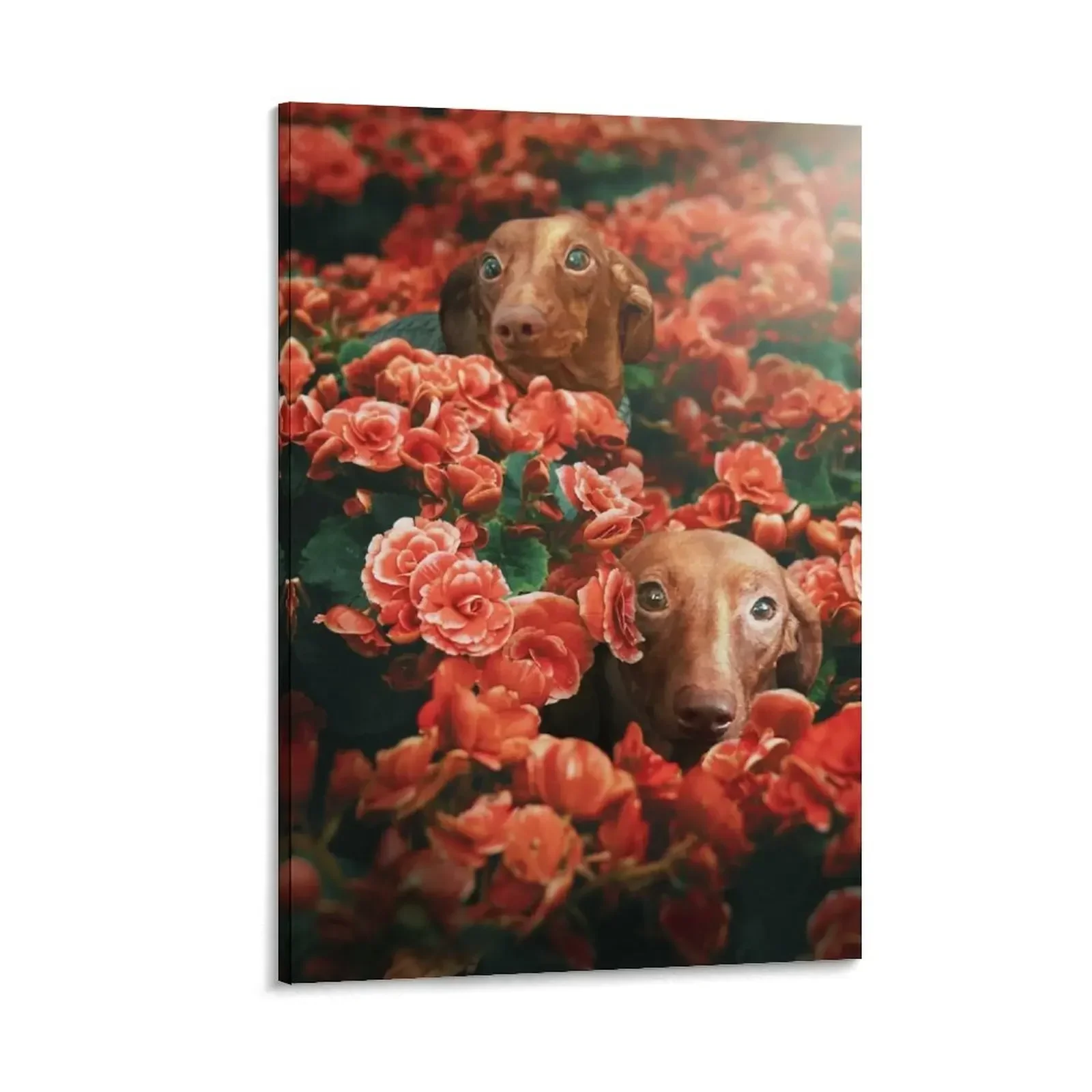 Custom Art : Happy In A Sea of Red Canvas Painting fashion wall paintings home decor interior cute room decor
Custom Art : Happy In A Sea of Red Canvas Painting fashion wall paintings home decor interior cute room decor