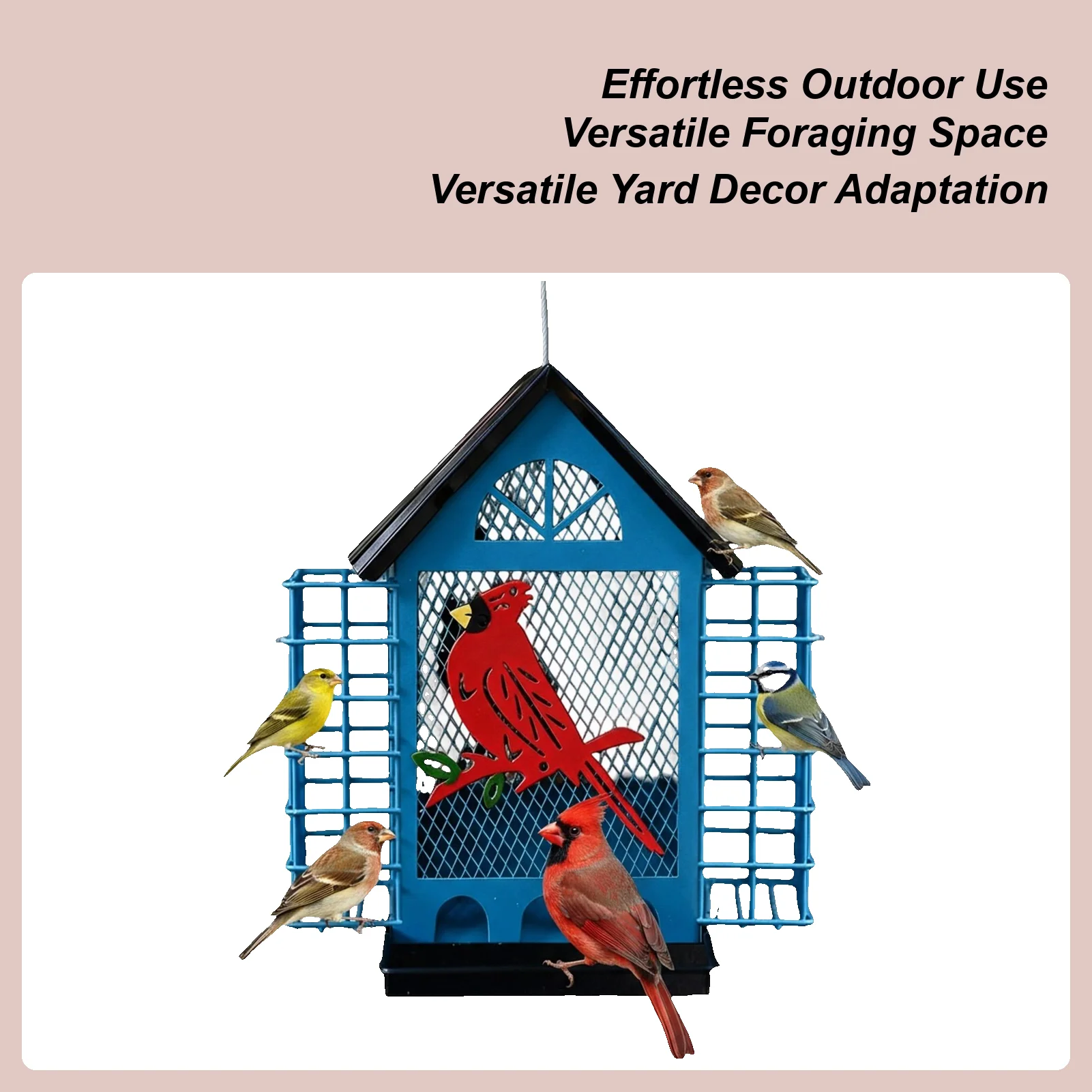 Устойчивые к орнитофобии кормушки для птиц с двойными клетками для сукатов, станция для наблюдения и кормления птиц, уличная кормушка для корелл и фиников
Устойчивые к орнитофобии кормушки для птиц с двойными клетками для сукатов, станция для наблюдения и кормления птиц, уличная кормушка для корелл и фиников