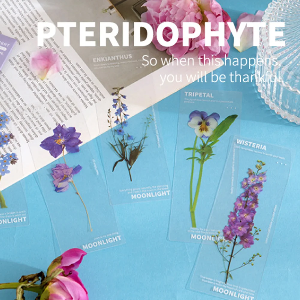 Reading Bookmark 5PCS/Pack Beautiful Crafts Elegant Fashionable Flower Leaves Literary PET Translucent Brand New
Reading Bookmark 5PCS/Pack Beautiful Crafts Elegant Fashionable Flower Leaves Literary PET Translucent Brand New