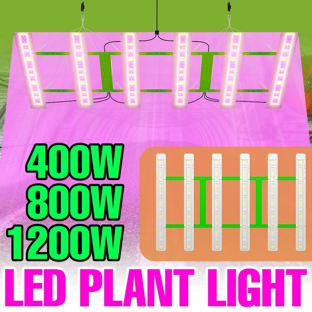 1200W Full Spectrum Grow Lights 220V Quantum Board LED Plant Lamp Greenhouse Hydroponic Vegs Flower Succulent Cultivate Lighting
1200W Full Spectrum Grow Lights 220V Quantum Board LED Plant Lamp Greenhouse Hydroponic Vegs Flower Succulent Cultivate Lighting