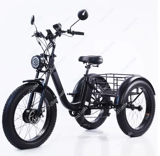 24 Inch Vetband Elektrische Driewieler 500W 48V Lithium Batterij Trapondersteuning E-Trike voor Sneeuw Strand Berg Volwassenen
24 Inch Vetband Elektrische Driewieler 500W 48V Lithium Batterij Trapondersteuning E-Trike voor Sneeuw Strand Berg Volwassenen