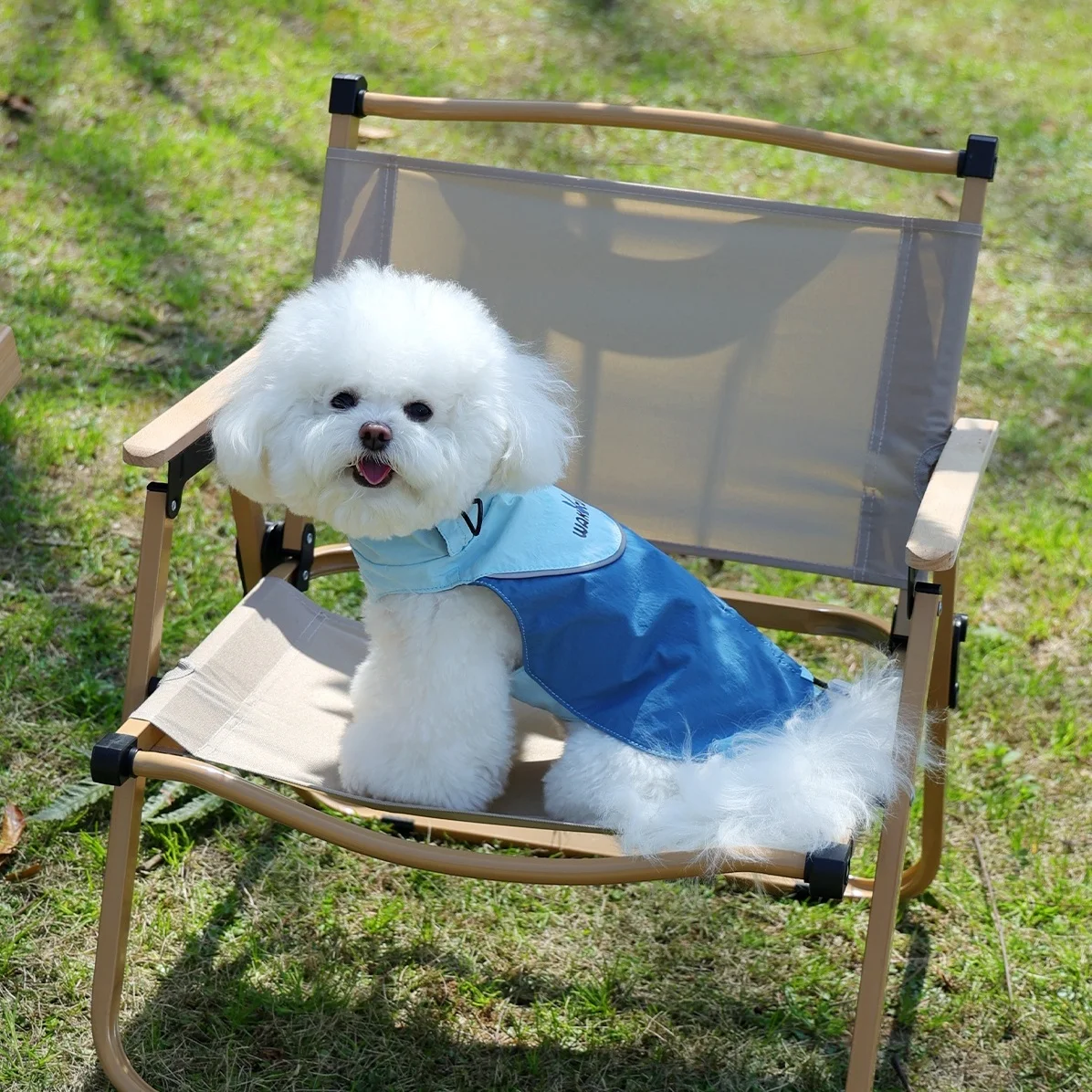 Dog windproof and waterproof jacket Dog outdoor functional jacket adjustable dog raincoat stylish puppy reflective clothes blue
Dog windproof and waterproof jacket Dog outdoor functional jacket adjustable dog raincoat stylish puppy reflective clothes blue