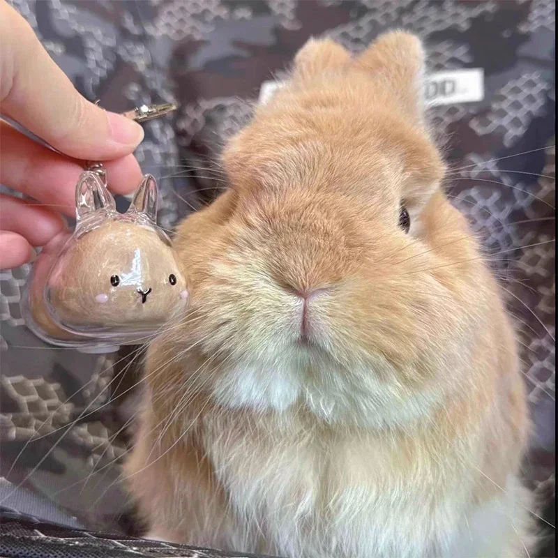 Rabbit Hair Keepsake Box Pendant Keychain Pet Memorial Collection Bag Decor Gift
Rabbit Hair Keepsake Box Pendant Keychain Pet Memorial Collection Bag Decor Gift