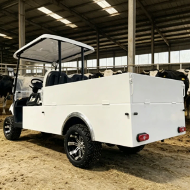 2 Seats Electric Car Club Car 72V Lithium Electric Golf Cart Folding Windshield Beach Cart Rear Cargo Box 12-Inch Off-Road Tires
2 Seats Electric Car Club Car 72V Lithium Electric Golf Cart Folding Windshield Beach Cart Rear Cargo Box 12-Inch Off-Road Tires
