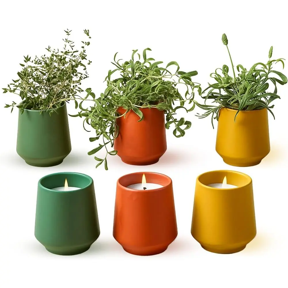 2-in-1 Scented Soy Candles with Plant Seeds - 6 oz, 42-Hour Burn Time - Perfect for Gifts or Mother's Day - Rosemary, Thyme, Lav
2-in-1 Scented Soy Candles with Plant Seeds - 6 oz, 42-Hour Burn Time - Perfect for Gifts or Mother's Day - Rosemary, Thyme, Lav