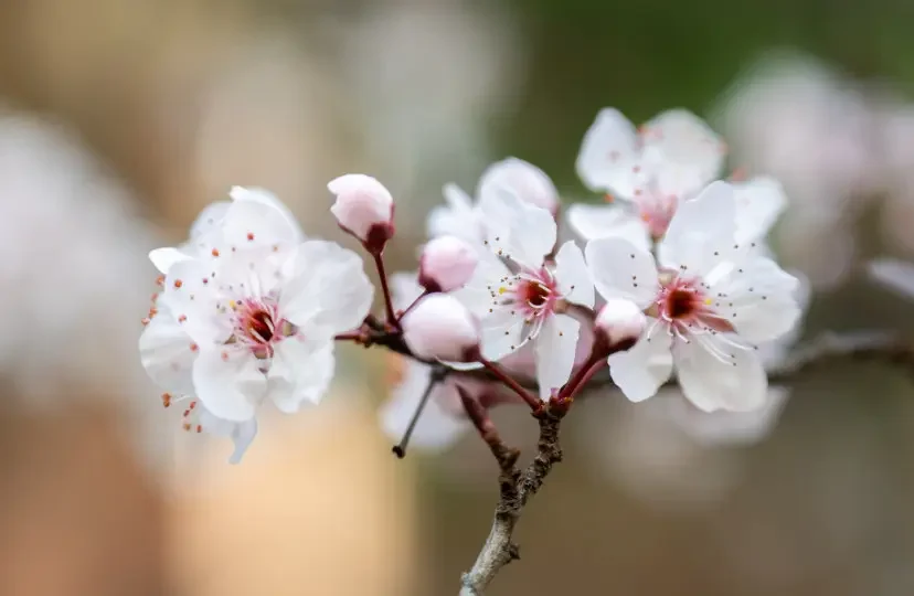 7S5P 24 В 16 Ач 18650 Литий-ионный аккумулятор 29,4 В 16000 мАч Литий-ионный аккумулятор, подходит для аккумуляторов для велосипедов/самокатов
7S5P 24 В 16 Ач 18650 Литий-ионный аккумулятор 29,4 В 16000 мАч Литий-ионный аккумулятор, подходит для аккумуляторов для велосипедов/самокатов