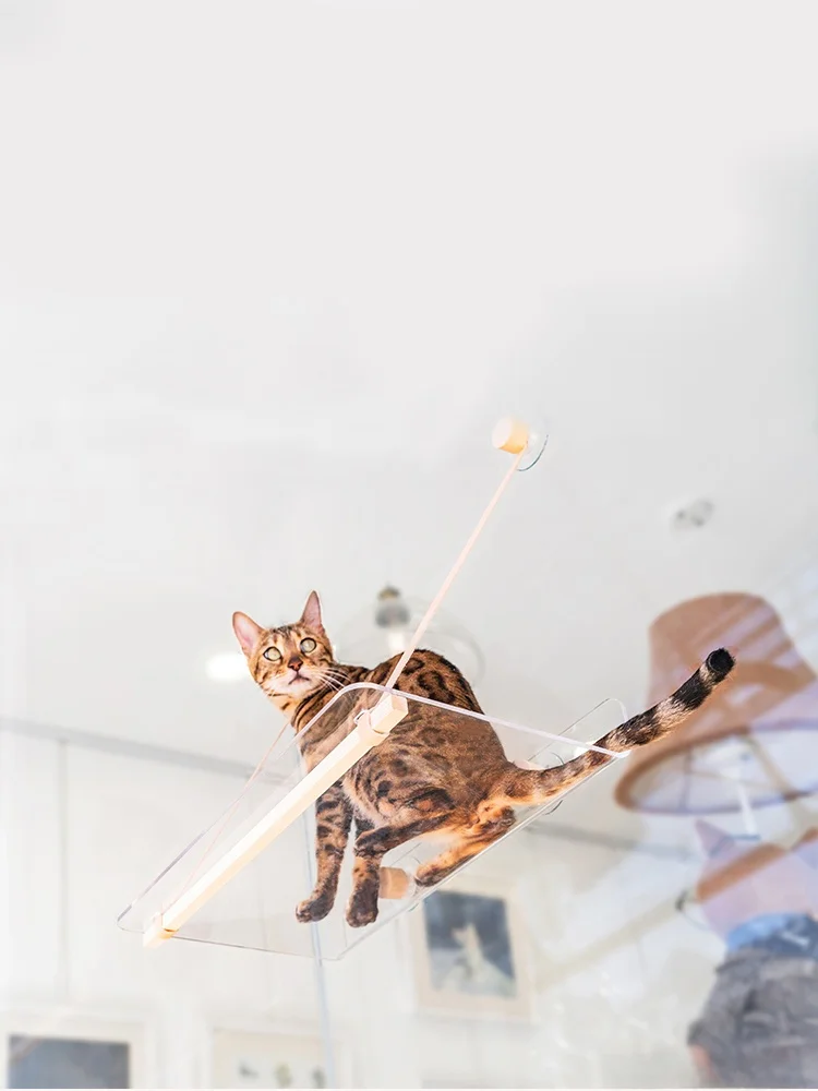 Универсальная прозрачная подвесная лежанка Wakupet для животных на окно/оконный подоконник/стекло
Универсальная прозрачная подвесная лежанка Wakupet для животных на окно/оконный подоконник/стекло