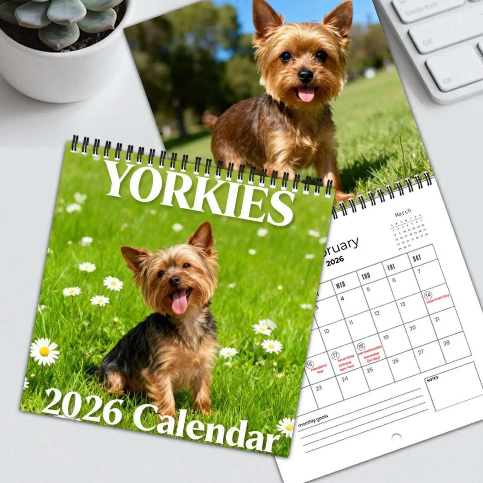 Календарь с изображением собак 2026: Настенный планировщик на 12 месяцев с анималистическим дизайном для спальни, гостиной, кухни, класса
Календарь с изображением собак 2026: Настенный планировщик на 12 месяцев с анималистическим дизайном для спальни, гостиной, кухни, класса