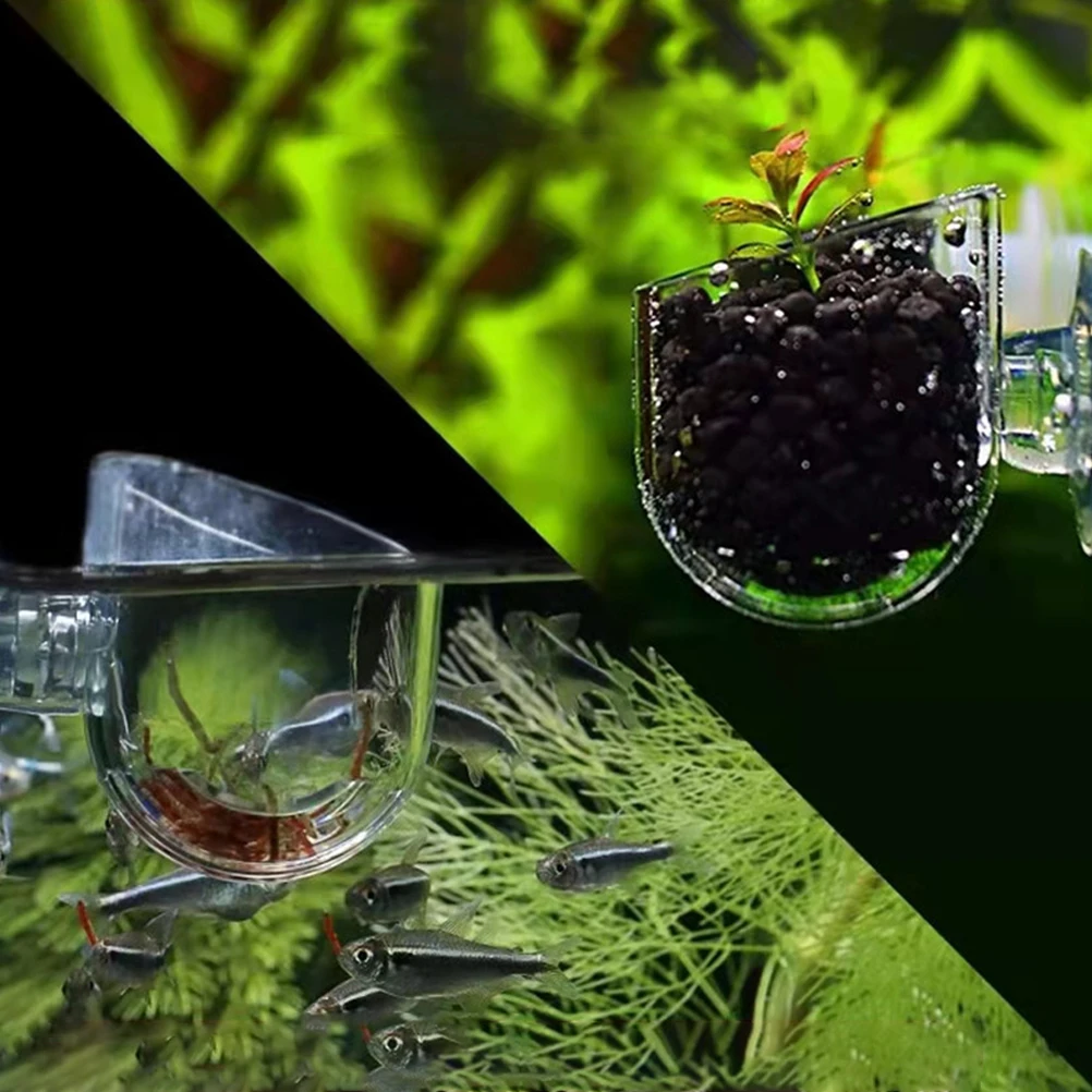 2Pcs Aquarium Fish Feeder Durable Acrylic Material Smooth Feeding Mouth Healthy Eating Growth Supplies Fish Food Feeders
2Pcs Aquarium Fish Feeder Durable Acrylic Material Smooth Feeding Mouth Healthy Eating Growth Supplies Fish Food Feeders