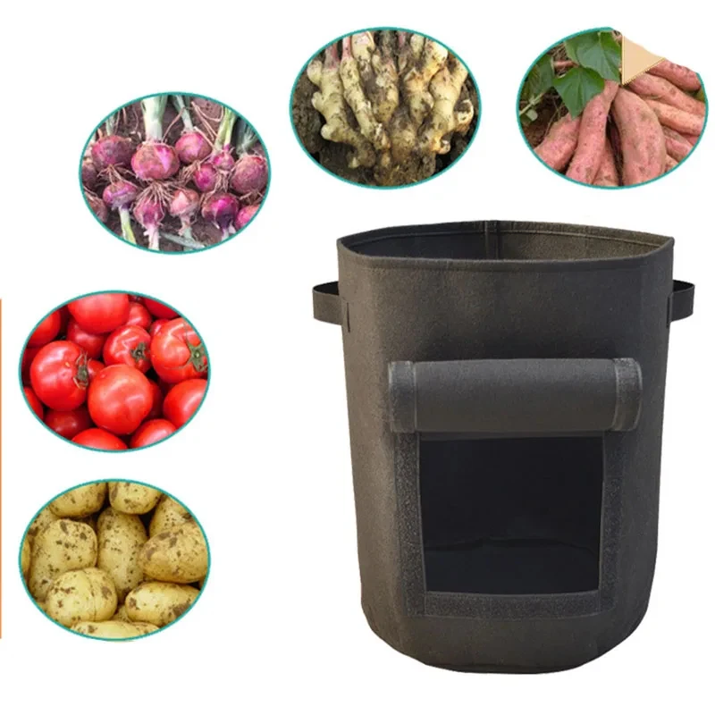 Non-woven Potato Grow Bags Vegetable Planting Container with Handles and Harvest Window
Non-woven Potato Grow Bags Vegetable Planting Container with Handles and Harvest Window