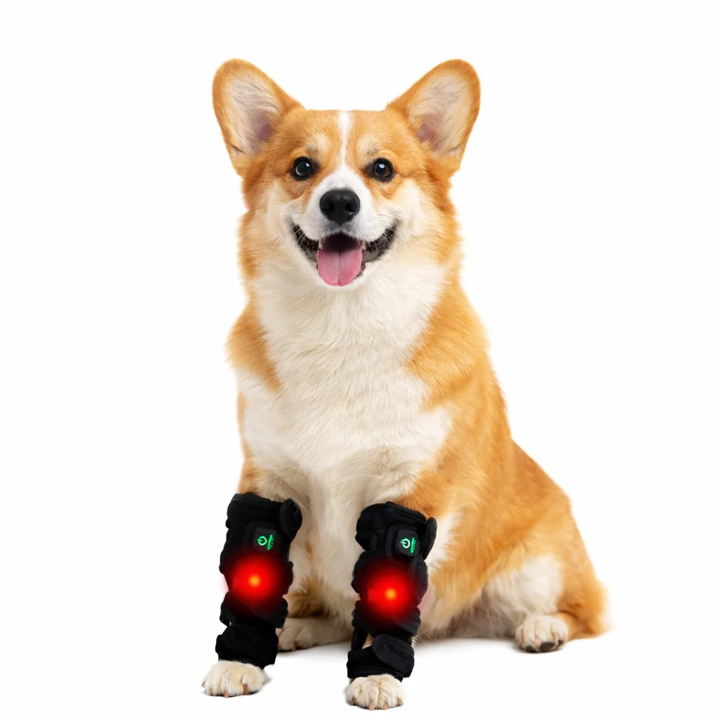 Пояс для светотерапии Pawbrio для животных, регулируемый, с красным светом 660 нм и 850 нм, для собак и кошек, облегчение боли при артрите, экологичный, прочный, для домашнего использования
Пояс для светотерапии Pawbrio для животных, регулируемый, с красным светом 660 нм и 850 нм, для собак и кошек, облегчение боли при артрите, экологичный, прочный, для домашнего использования