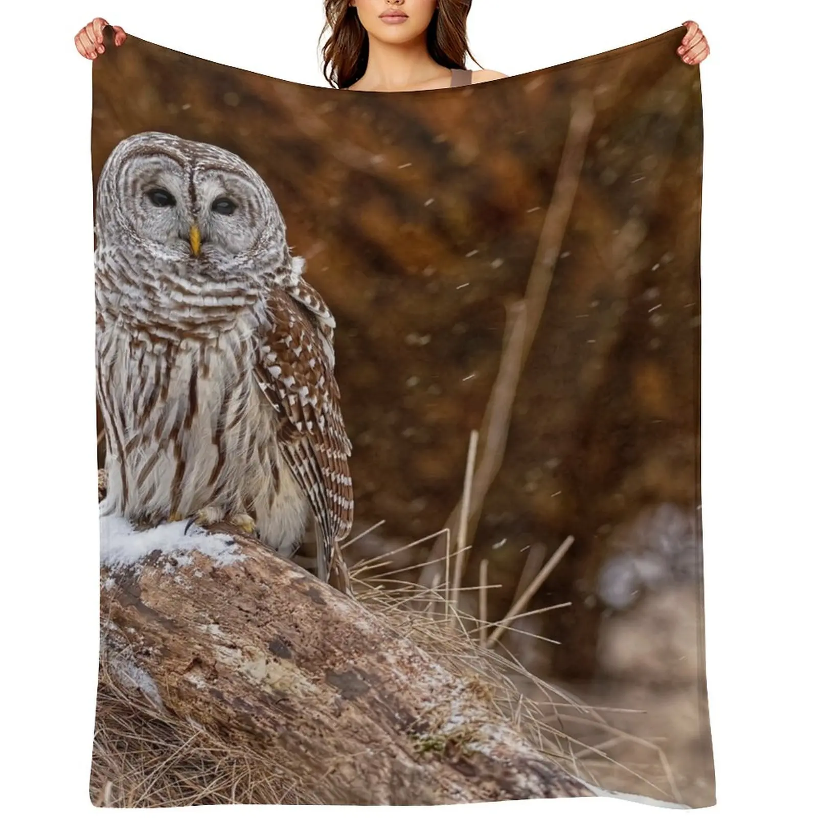 Barred Owl Throw Blanket warm for winter Beautifuls Plush wednesday Blankets
Barred Owl Throw Blanket warm for winter Beautifuls Plush wednesday Blankets