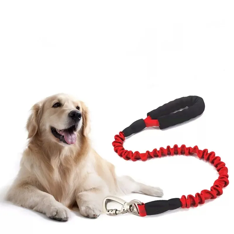 Dog Elastic Leash Explosion Proof Control Large Fierce Dog Nylon Leather Leash Dog Collar Retractable Training Pet Supplies
Dog Elastic Leash Explosion Proof Control Large Fierce Dog Nylon Leather Leash Dog Collar Retractable Training Pet Supplies