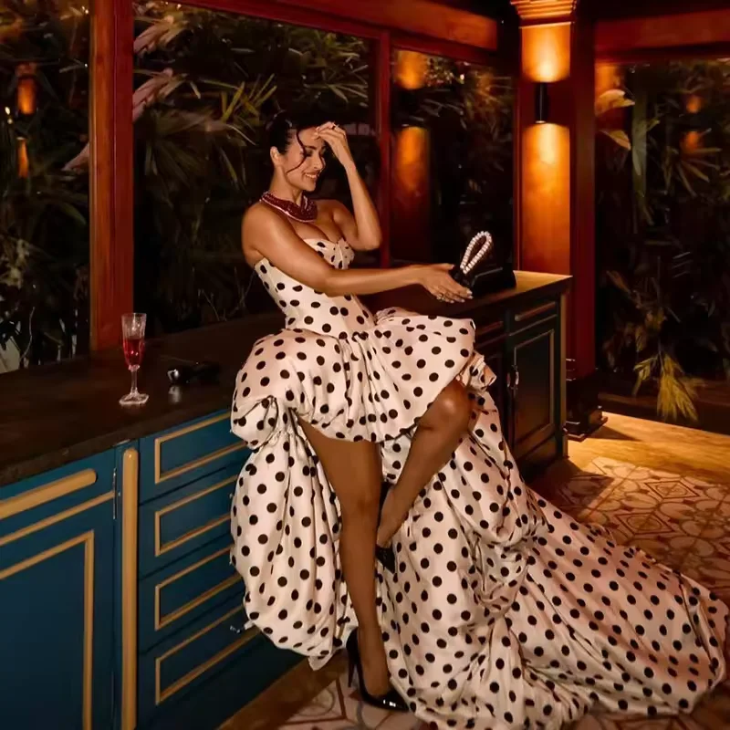 Customized Elegant Modern prom dress 2026 Sweetheart Polka Dots High/Low Birthday Party Dresses Gala Women Formal Evening Dress
Customized Elegant Modern prom dress 2026 Sweetheart Polka Dots High/Low Birthday Party Dresses Gala Women Formal Evening Dress
