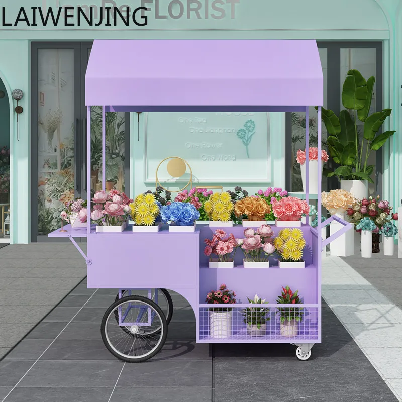 HLZ wrought iron outdoor car creative boutique flower shop display stand outdoor flower stand
HLZ wrought iron outdoor car creative boutique flower shop display stand outdoor flower stand