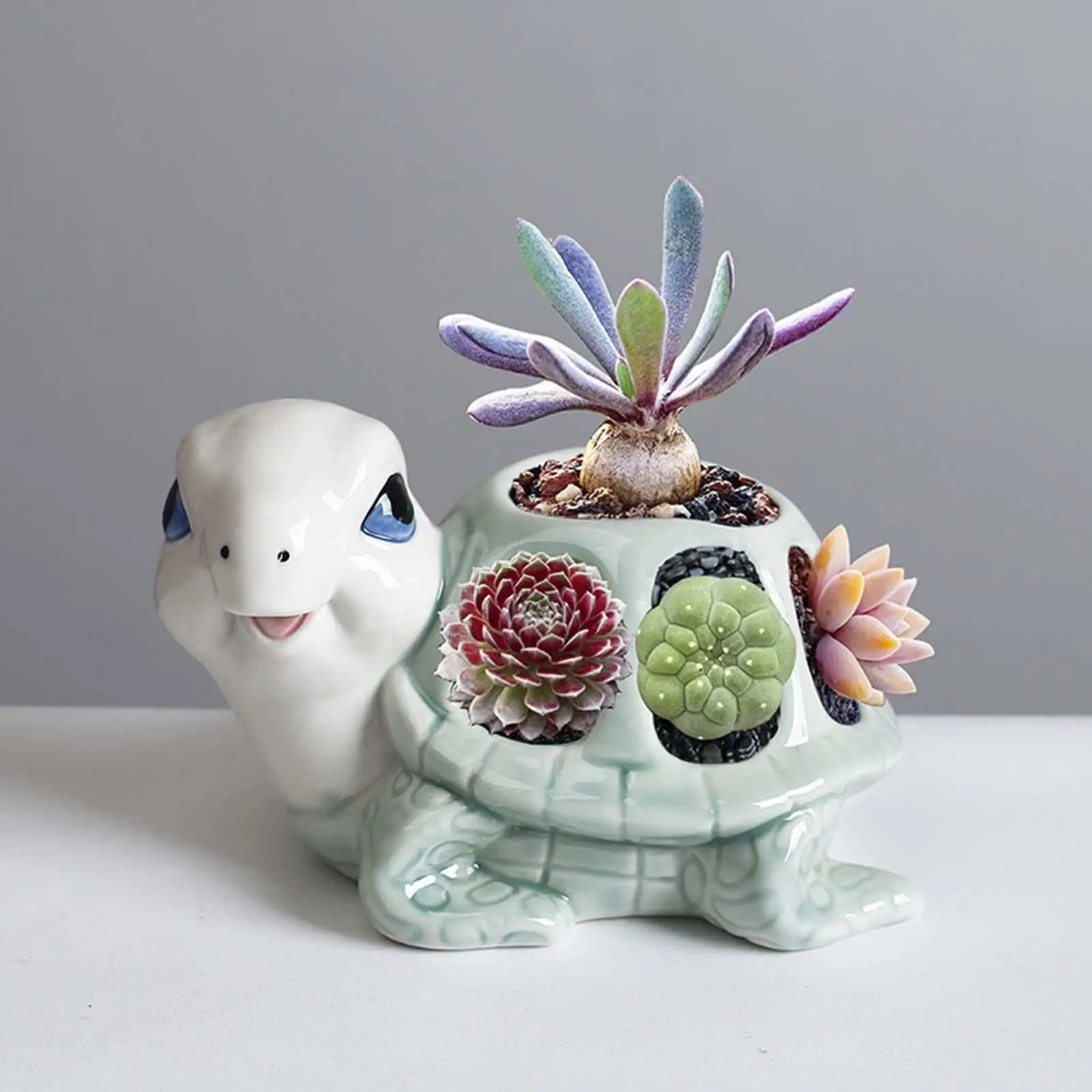 Turtle Figurine Flower Pot Tortoise Statue Hollow Animal Sculpture Planter for Yard Shelf Patio Home Decor Housewarming Gift
Turtle Figurine Flower Pot Tortoise Statue Hollow Animal Sculpture Planter for Yard Shelf Patio Home Decor Housewarming Gift