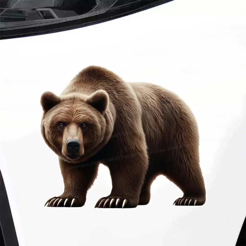 Brown Bear Car Stickers Decal Vinyl Detachable Waterproof Outdoor Car Bumper Window Notebook Computer Decoration Auto Parts Y377
Brown Bear Car Stickers Decal Vinyl Detachable Waterproof Outdoor Car Bumper Window Notebook Computer Decoration Auto Parts Y377