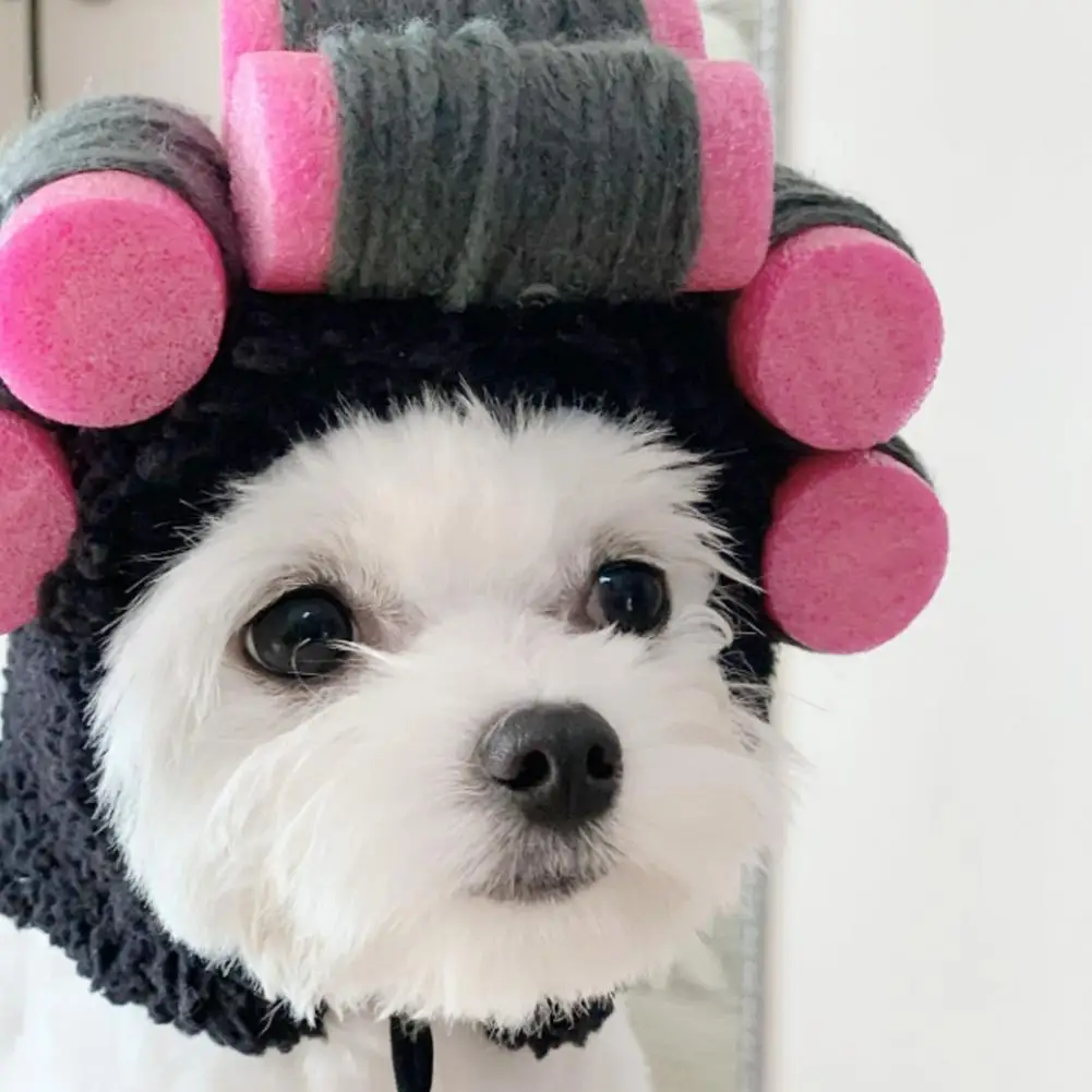 Pet Hat Headgear Adorable Fastener Tape Design Pet Cat Dog Headgear Soft Comfortable Lightweight Party Hat Pet Supplies
Pet Hat Headgear Adorable Fastener Tape Design Pet Cat Dog Headgear Soft Comfortable Lightweight Party Hat Pet Supplies