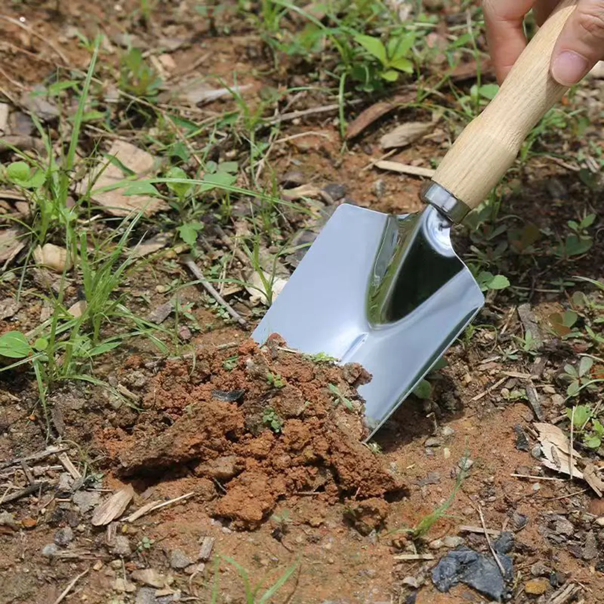 5 шт./1 компл. мини-набор садовых инструментов портативный небольшой садовый инструмент с ручками лопата грабли домашнее садоводство инструменты для посадки цветов
5 шт./1 компл. мини-набор садовых инструментов портативный небольшой садовый инструмент с ручками лопата грабли домашнее садоводство инструменты для посадки цветов