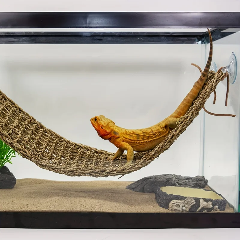 1pc Pet Reptile Hammock/Modern PE Resting Chair/Suitable for Snakes, Bird Hammock with Mesh Design for Animals
1pc Pet Reptile Hammock/Modern PE Resting Chair/Suitable for Snakes, Bird Hammock with Mesh Design for Animals
