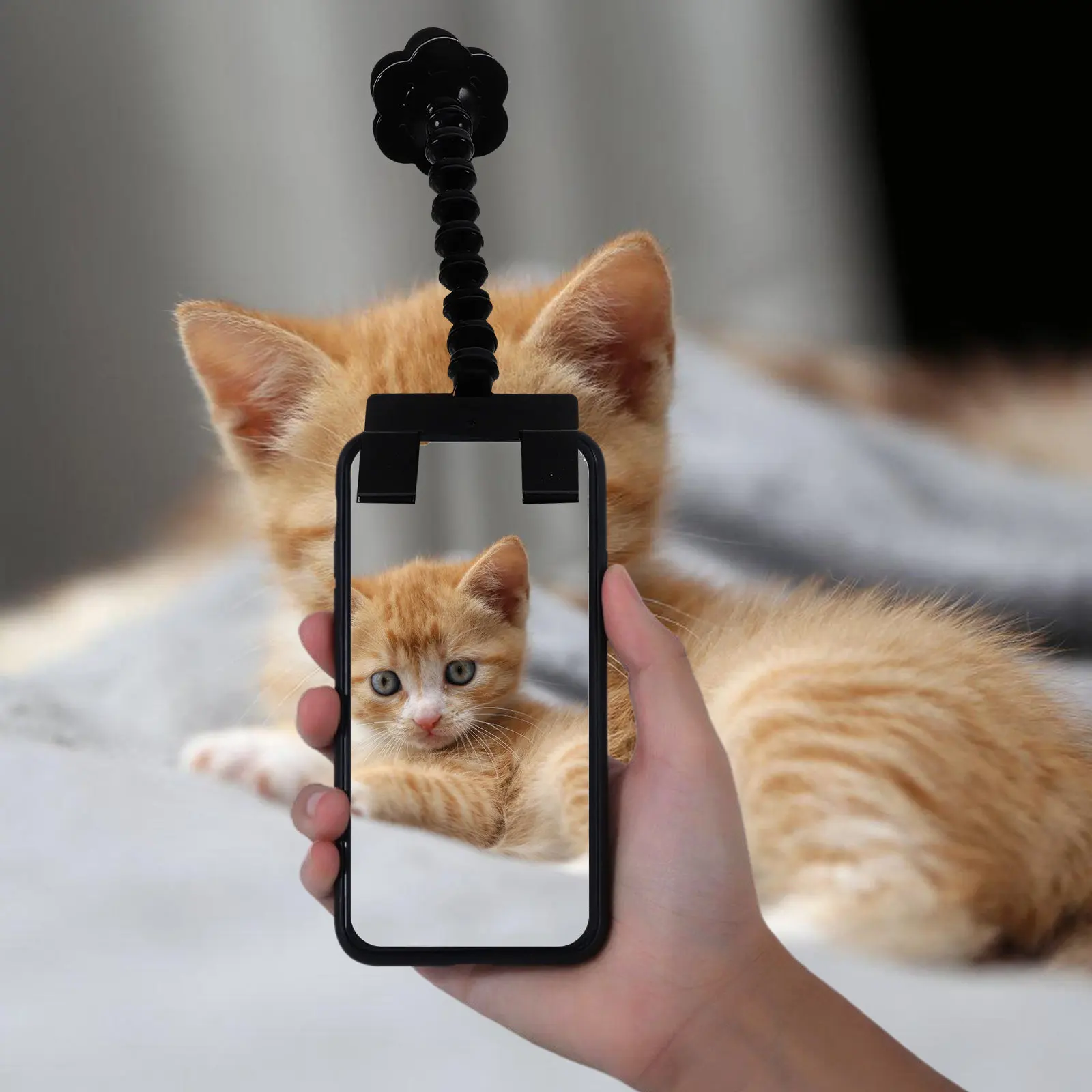 Pets Selfie Stick for Cats and Dogs with Phone Clip Treat Holder Lightweight Portable Photography Tool Training Perfect Photo
Pets Selfie Stick for Cats and Dogs with Phone Clip Treat Holder Lightweight Portable Photography Tool Training Perfect Photo