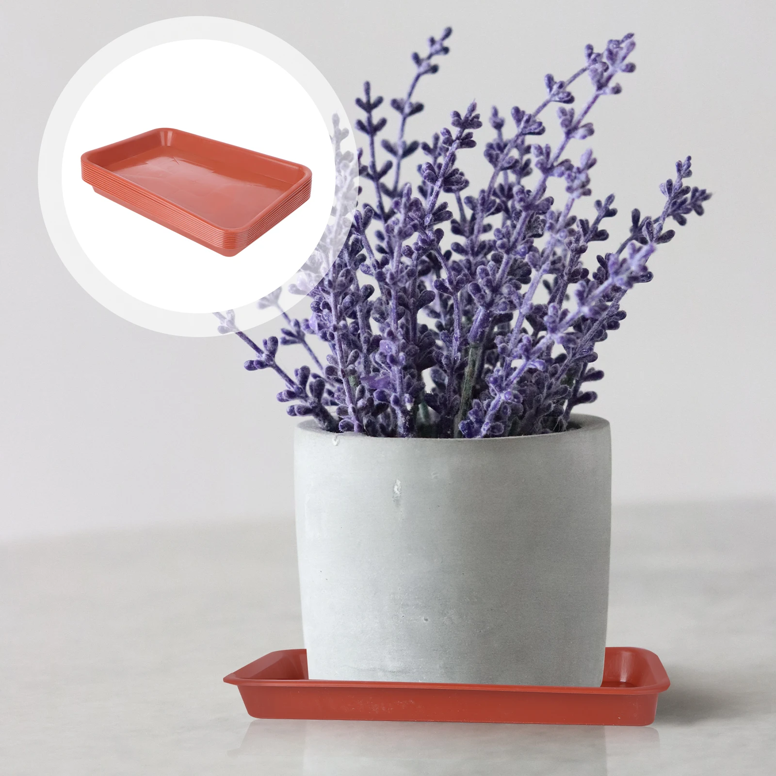 10 Pcs Rectangular Tray Plant Pot Base Plate Detachable Flower Trays for Plants Plastic Garden Pots
10 Pcs Rectangular Tray Plant Pot Base Plate Detachable Flower Trays for Plants Plastic Garden Pots