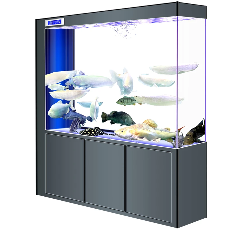 New ultra-white glass bottom filter fish tank, large and small entrance in living room, screen partition integrated rectangular
New ultra-white glass bottom filter fish tank, large and small entrance in living room, screen partition integrated rectangular