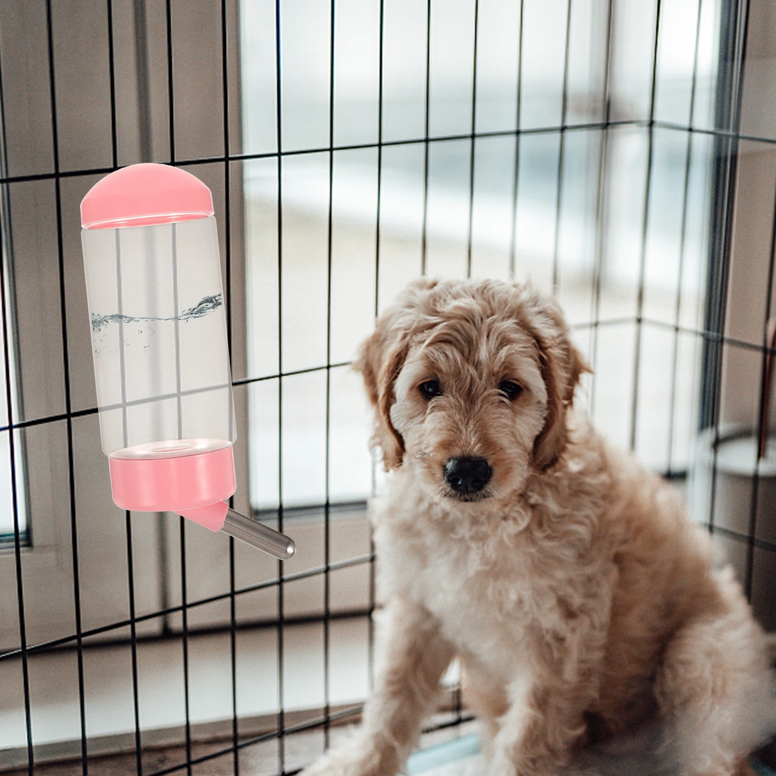 Eco-Friendly Pet Water Bottle Hanging Leak-Proof Dispenser for Small Dogs Cats Use
Eco-Friendly Pet Water Bottle Hanging Leak-Proof Dispenser for Small Dogs Cats Use