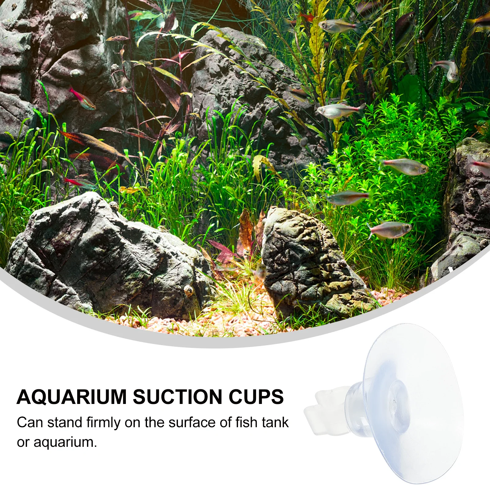 10 Pcs Holder Suction Cup Airline Tube Holder Clip for Fish Tank Aquarium 4mm Tube Easy Install Pet Supplies
10 Pcs Holder Suction Cup Airline Tube Holder Clip for Fish Tank Aquarium 4mm Tube Easy Install Pet Supplies