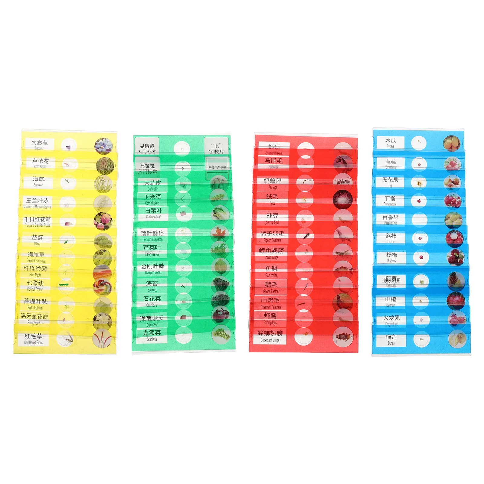 48 Pcs Microscope Children's Sections Educational Stem Toys Homeschool Curriculum Science Colorful Slides Beginner For Science
48 Pcs Microscope Children's Sections Educational Stem Toys Homeschool Curriculum Science Colorful Slides Beginner For Science