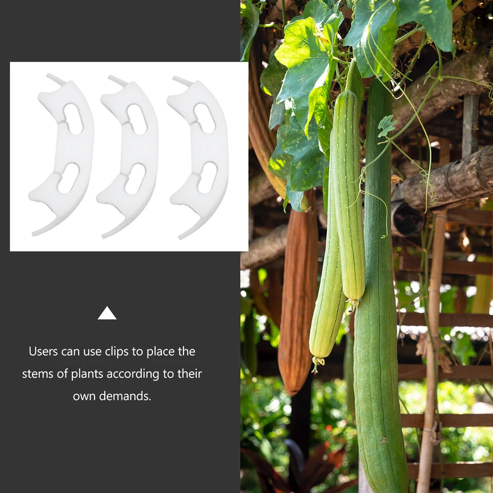100 Pcs Bending Clip Tomato Stems Support Trainer Gardening Gifts Plant Stem Clip Increase Growth Reduce Damage
100 Pcs Bending Clip Tomato Stems Support Trainer Gardening Gifts Plant Stem Clip Increase Growth Reduce Damage