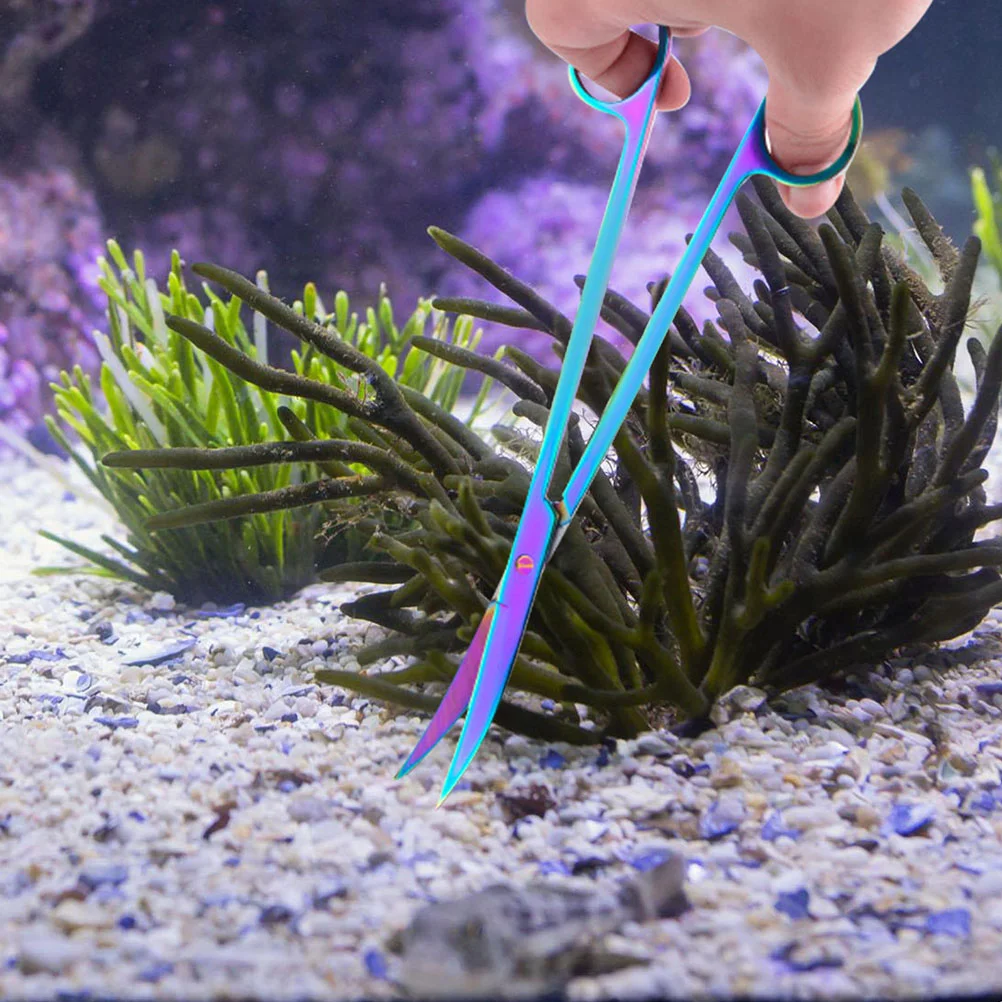 Aquatic Scissors Professional Plant Underwater Cleaning Tools Accessories Stainless Steel Fish Tank
Aquatic Scissors Professional Plant Underwater Cleaning Tools Accessories Stainless Steel Fish Tank