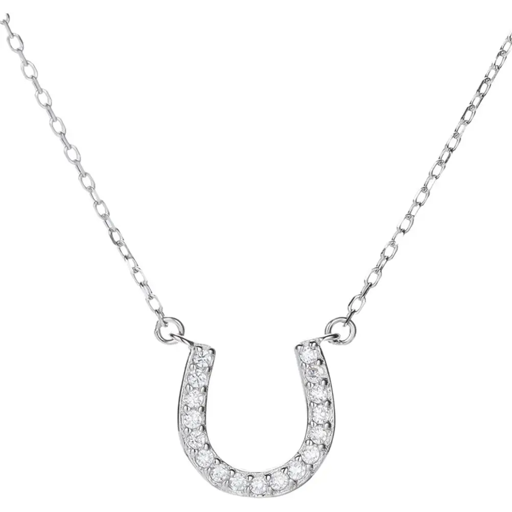 Horseshoe Clavicle Chain Women Sterling Silver Alloy Necklace Gifts for Party Accessories Charm Pendant Necklace
Horseshoe Clavicle Chain Women Sterling Silver Alloy Necklace Gifts for Party Accessories Charm Pendant Necklace