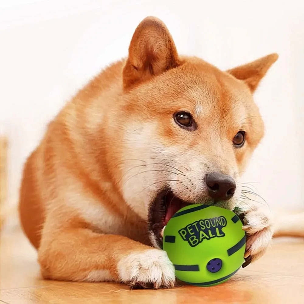 Pet Toy Durable Dog Toy Ball Fun Sounds Bite-resistant Squeaky Dog Toy Wear-resistant Interactive Dog Molar Ball Pets Play
Pet Toy Durable Dog Toy Ball Fun Sounds Bite-resistant Squeaky Dog Toy Wear-resistant Interactive Dog Molar Ball Pets Play