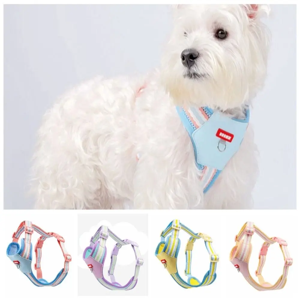 Durable Lightweight Dog Harness Adjustable Nylon Pet Collar Cute Breathable Cat Lead Outdoor
Durable Lightweight Dog Harness Adjustable Nylon Pet Collar Cute Breathable Cat Lead Outdoor
