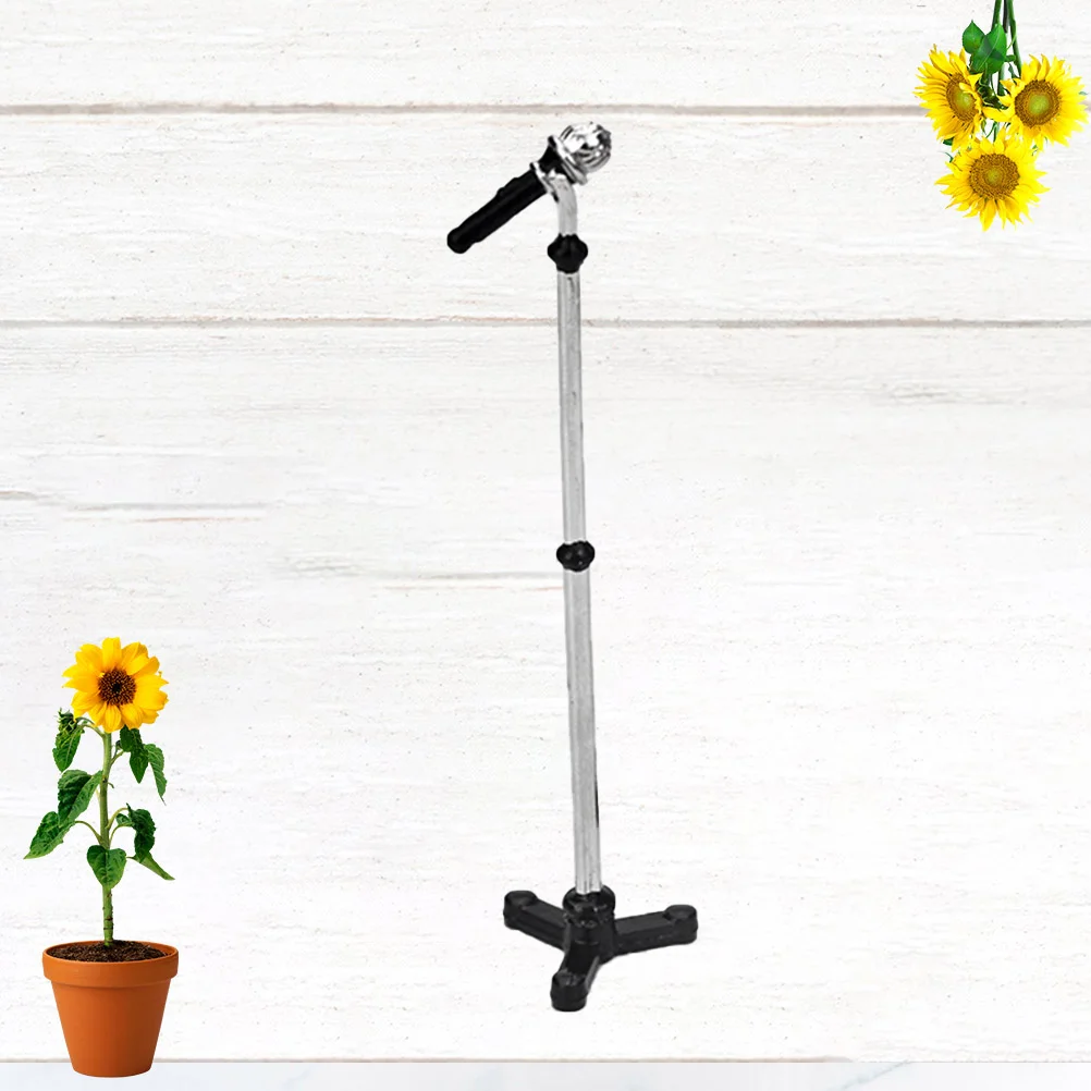 Decorations Child Mini Small Miniature Furniture Kids Microphone House Ornament
Decorations Child Mini Small Miniature Furniture Kids Microphone House Ornament
