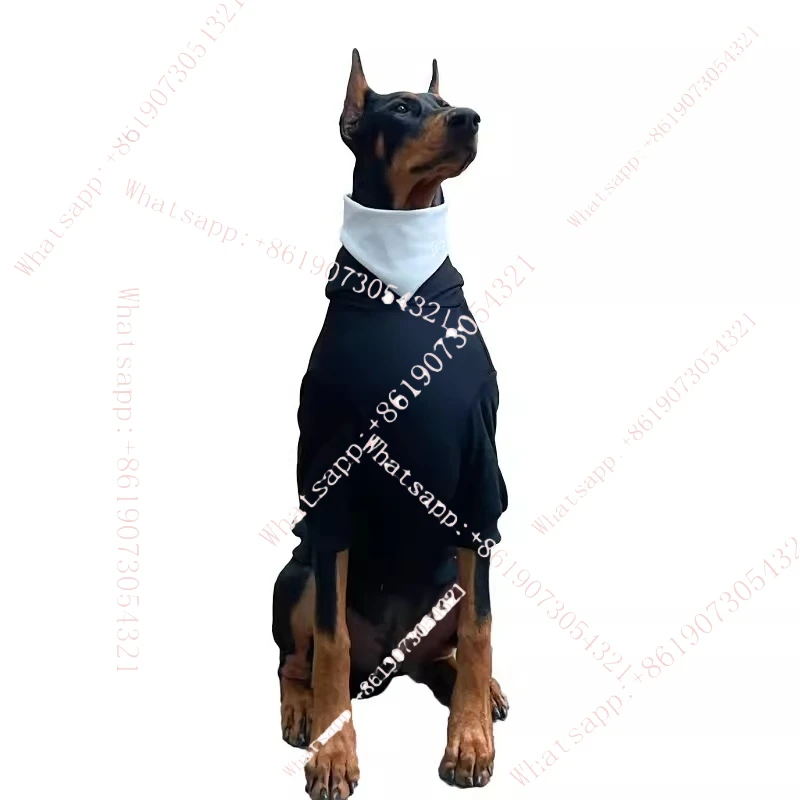 Autumn and winter large dog thermal sweater golden hair edge herding fake two Labrador Doberman clothes spring and autumn
Autumn and winter large dog thermal sweater golden hair edge herding fake two Labrador Doberman clothes spring and autumn